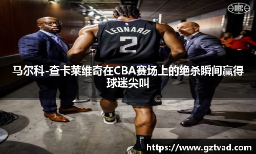 马尔科-查卡莱维奇在CBA赛场上的绝杀瞬间赢得球迷尖叫